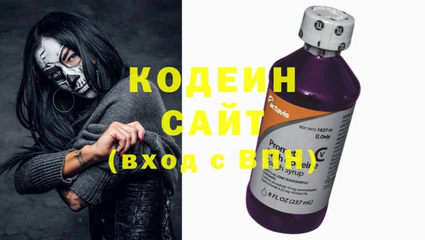 молекула духа Арсеньев