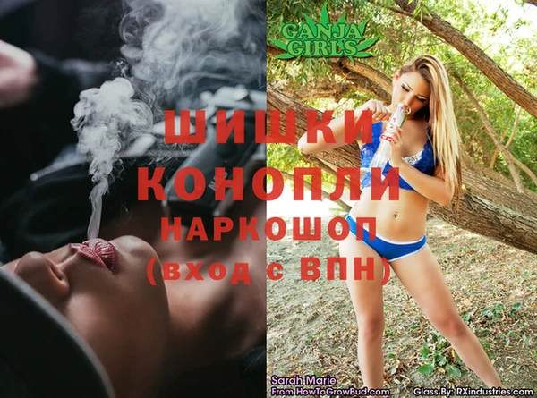 дмт Аркадак