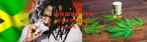 молекула духа Арсеньев