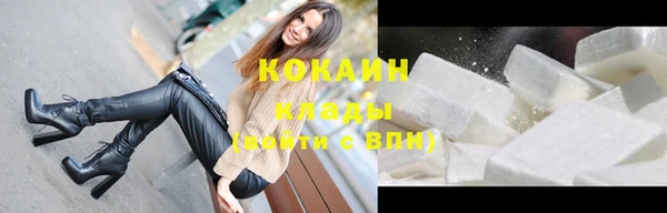 молекула духа Арсеньев