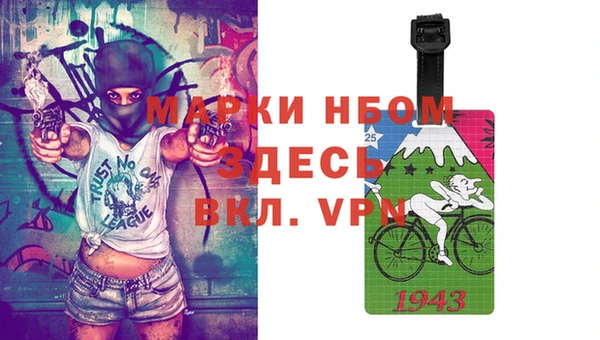 молекула духа Арсеньев