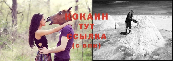 молекула духа Арсеньев