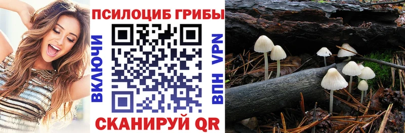 Псилоцибиновые грибы прущие грибы где купить наркотик Полярные Зори